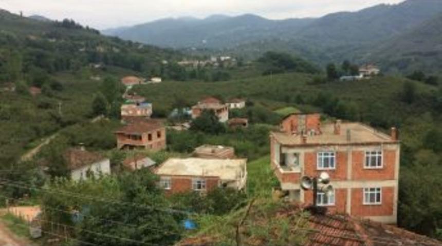 Ordu’da Şarbon Paniği