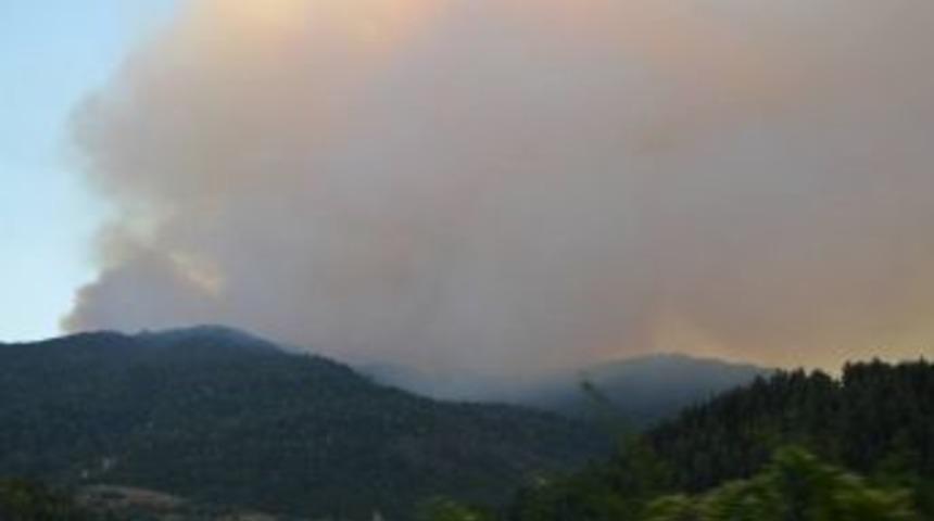 G&uuml;rcistan&rsquo;daki Orman Yangınının Karabulutları Posof&rsquo;u Sardı