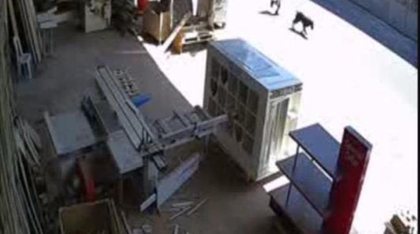 &Ccedil;ocukların K&ouml;pek Hırsızlığı G&uuml;venlik Kamerasında