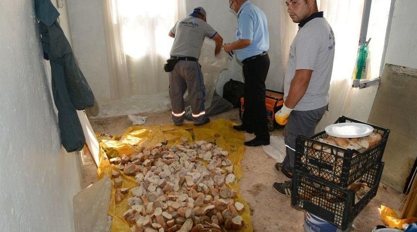 Yıkılan Metruk Bina Yerine &Ccedil;ocuk Bah&ccedil;esi Yapılacak