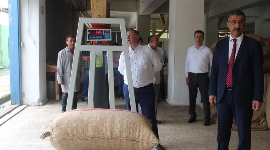 Fiskobirlik İki G&uuml;nde 22 Ton Fındık Aldı.