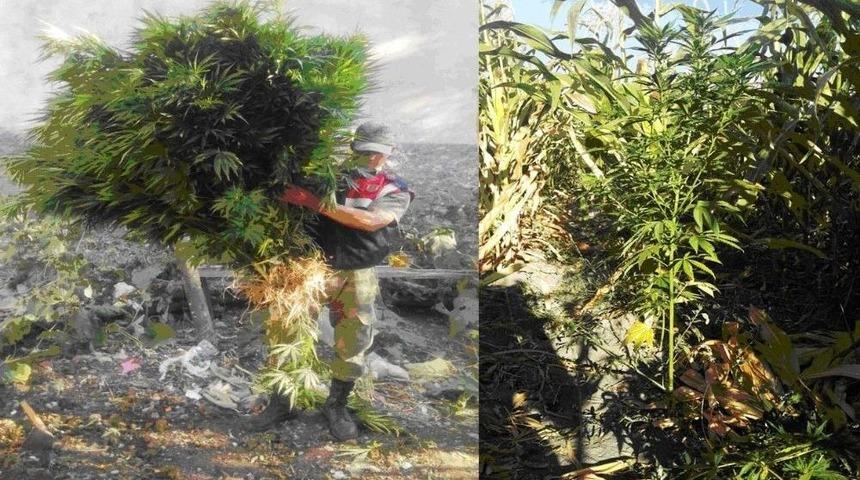 Kahramanmaraş’ta Uyuşturucu Operasyonu