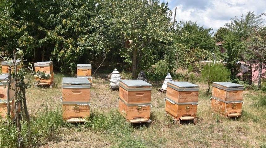 Bal Ve &Uuml;z&uuml;m Yetiştiriciliği Projeleri Meyvelerini Vermeye Başladı