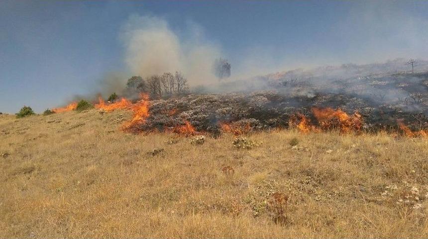 Sivas&rsquo;ta &Ouml;rt&uuml; Yangını