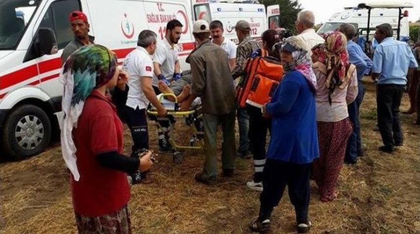 &Uuml;z&uuml;m Bağına Yıldırım D&uuml;şt&uuml;, 6 Kişi Yaralandı