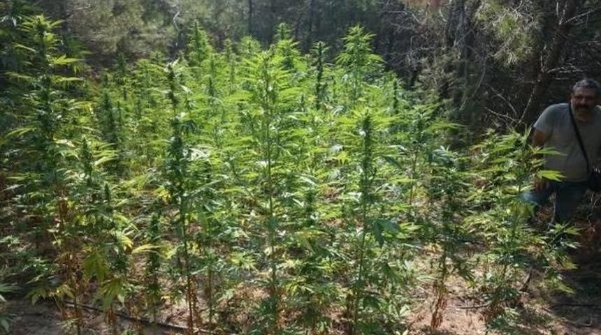 İzmir'deki Uyuşturucu Operasyonu