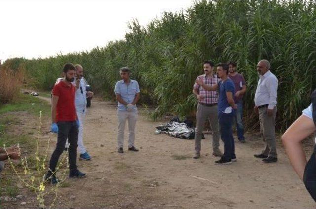 Pompalı Tüfekle Vurulan Iki Kardeşin Cesedi Tarlada Bulundu