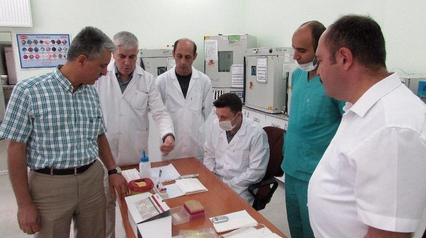 (&ouml;zel) Hayvanlara Kan Ve S&uuml;t &Ouml;rneklerinden Gebelik Testi