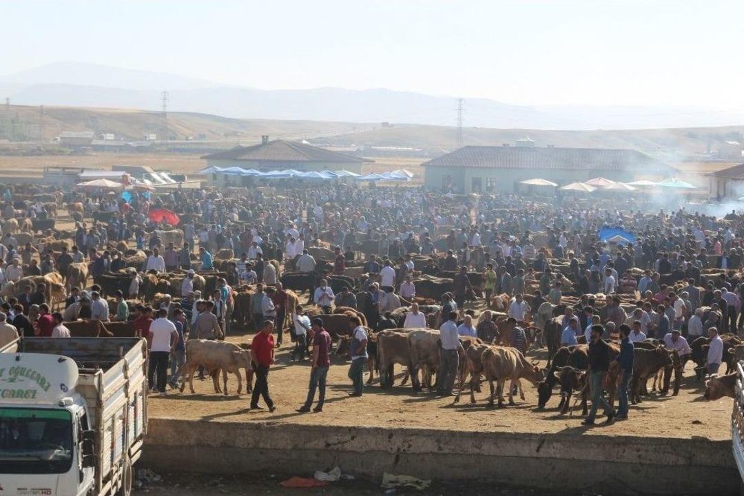 Ağrı&rsquo;da Hayvan Pazarında Hareketlilik Arttı