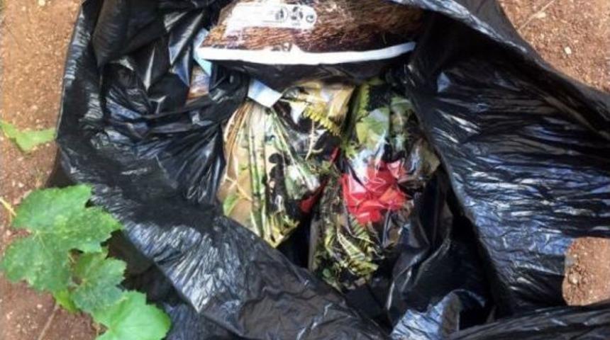 Torbacıların Zulası Pes Dedirtti