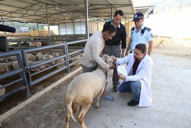 Karşıyaka, Kurban Bayramına Hazır