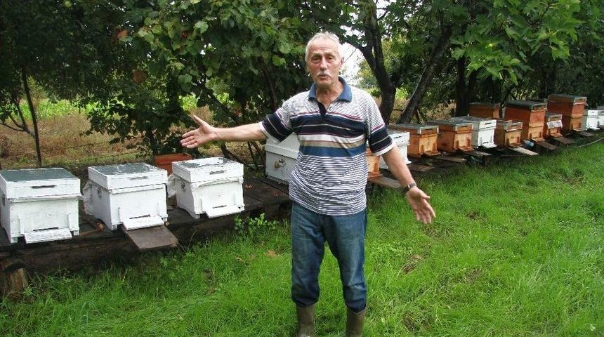 (&ouml;zel Haber) Metrekareye 70 Kilogram Yağış D&uuml;şt&uuml;, Binlerce Arı Telef Oldu