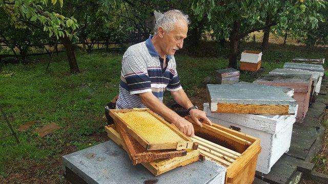 (özel Haber) Metrekareye 70 Kilogram Yağış Düştü, Binlerce Arı Telef Oldu