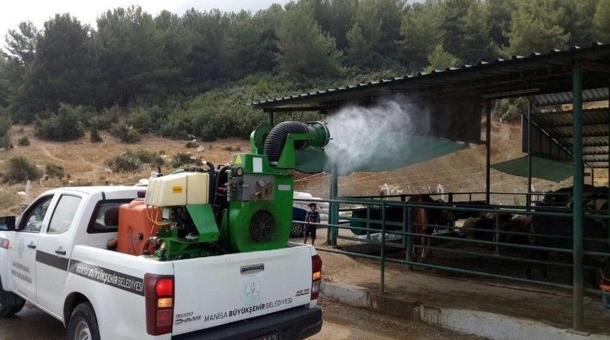 Manisa&rsquo;da Kurban Alıcısı Da Satıcısı Da Rahat Edecek