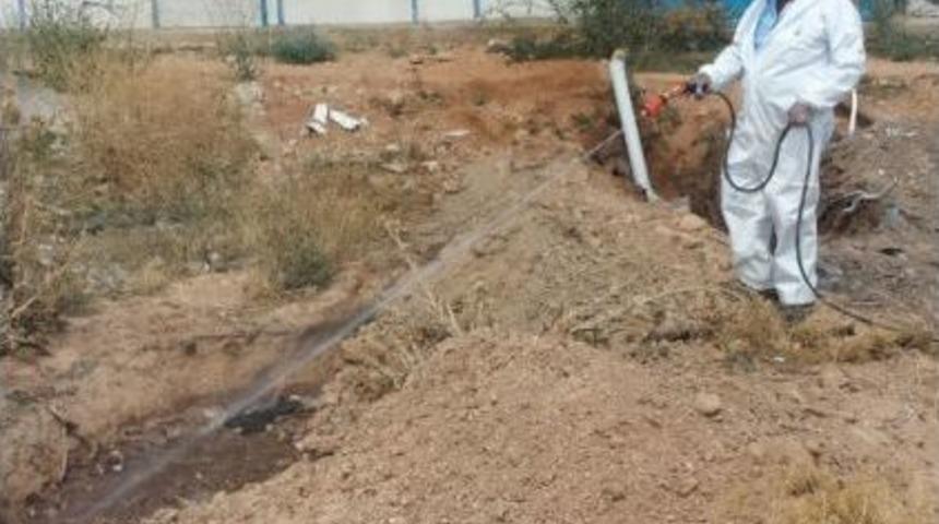 Haşere İle M&uuml;cadele &Ccedil;alışmaları