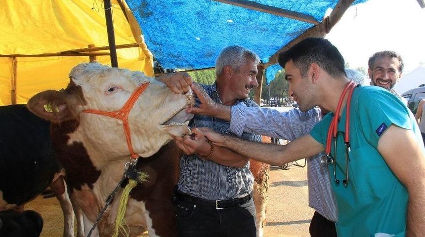 Buca&rsquo;da Kurbanlıklara Sıkı Denetim
