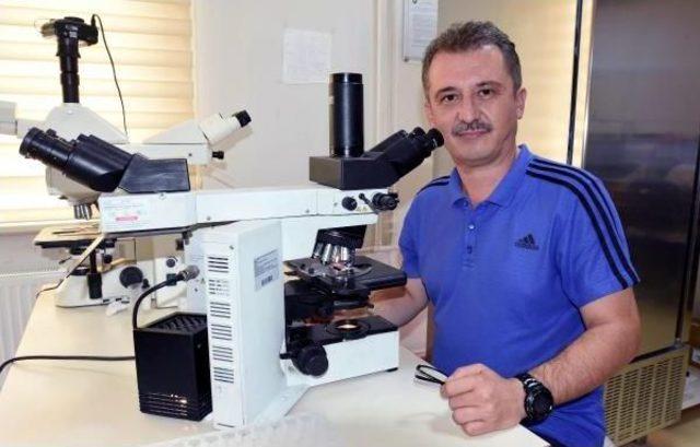 Hepatit E Virüsünün En Sık Görüldüğü Il Van