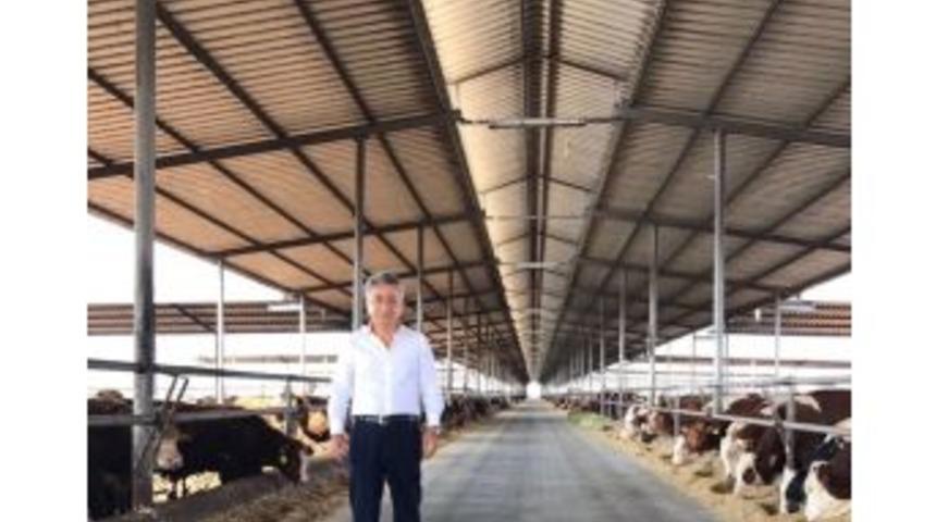 Şahbaz: "kurbanlık Hayvan Mevcudumuz Yeterli"