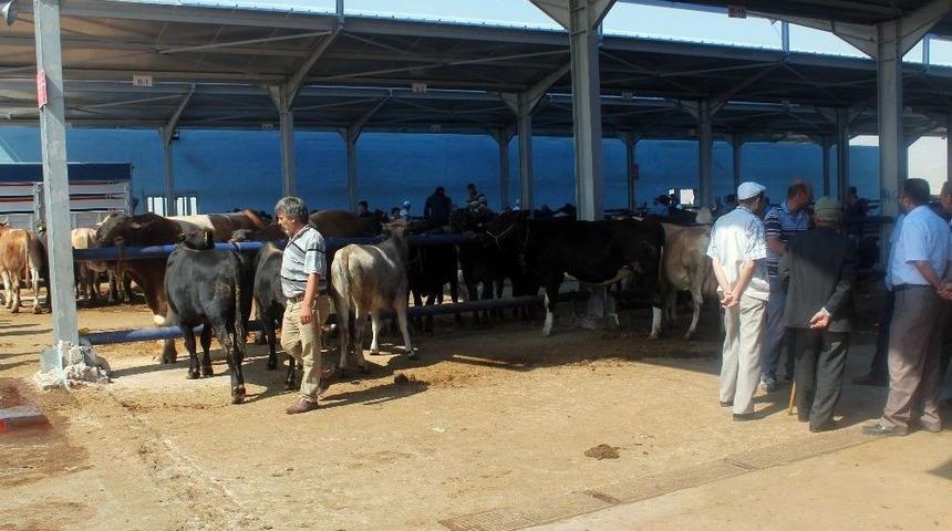 Kurban Pazarında Sahte Para &Ouml;nlemi