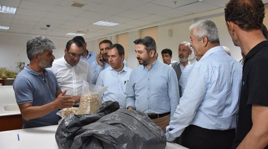 Tarım Bilimleri Ve Teknolojileri Fak&uuml;ltesi İlk &Ouml;ğrencilerini Aldı