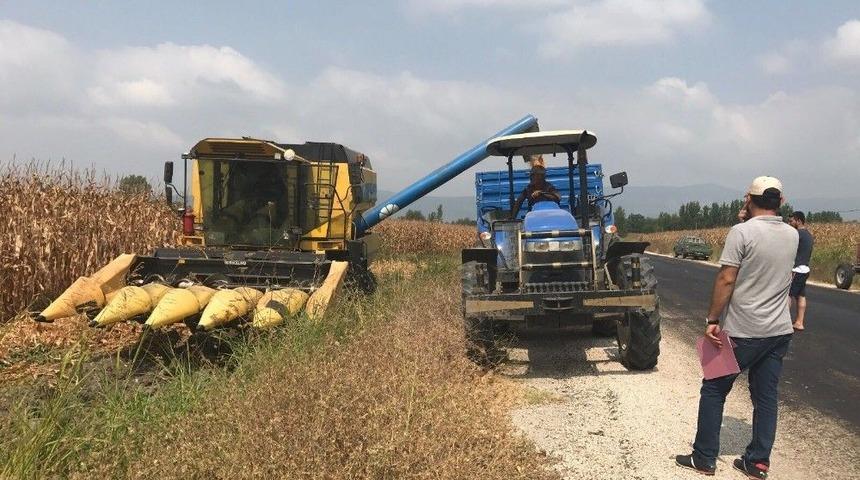 Mısırda Dane Kaybına Karşı Denetim Sürüyor