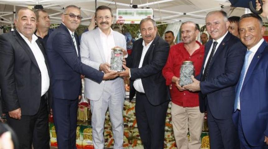 Bursa'nın Orhangazi ilçesinde doların turşusunu kurdular