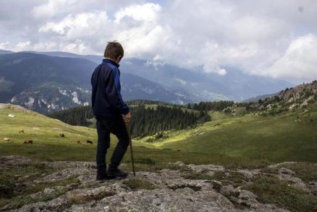 Eren Bülbül’Ü Fotoğraflayan Öğretmen O Anları Anlattı  