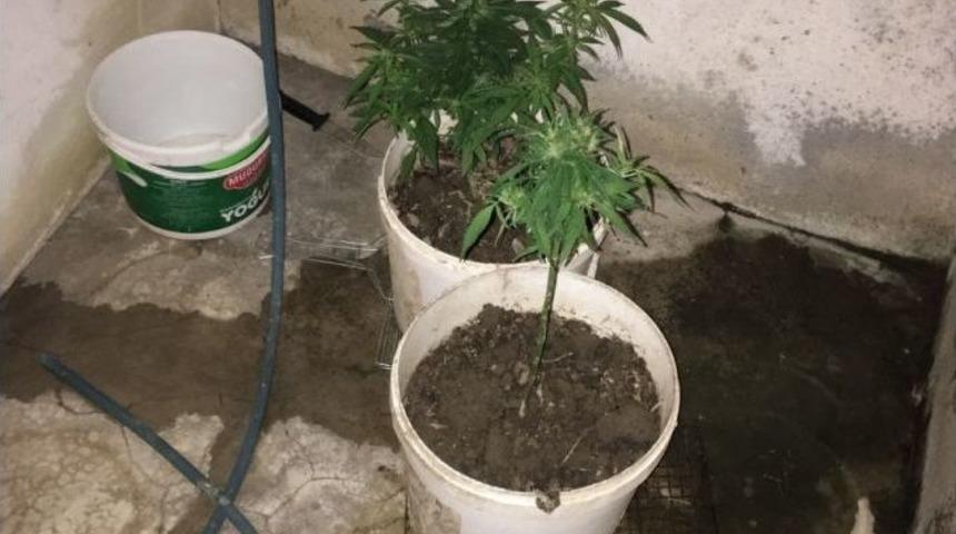 Zonguldak&rsquo;ta Uyuşturucu Operasyonu