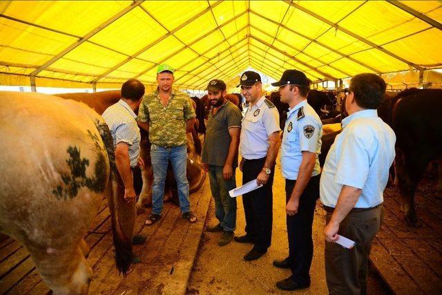 Beylikdüzü’nde Kurban Bayramı Herkesi Birleştirecek