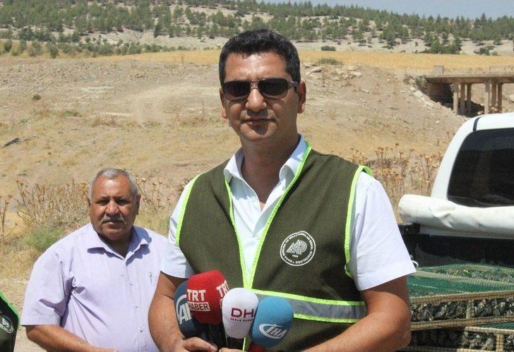 Suriye’ye Götürülürken Yakalanan Saka Kuşları Doğaya Bırakıldı G5