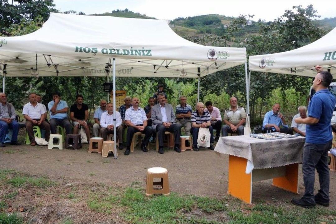 Fındıkta Kalite Ve Verimin Artırılmasına Y&ouml;nelik Proje