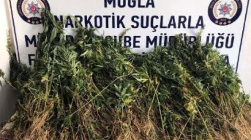 Seydikemer'de Uyuşturucu Operasyonu