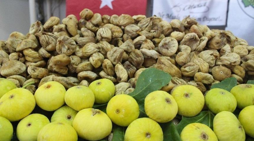 Kuru İncir Tarihi Rekolte