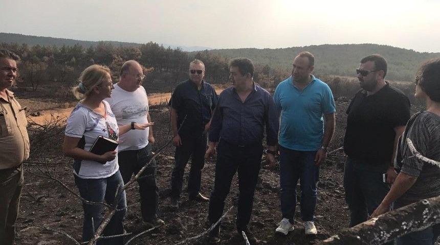 Ak Partili Milletvekili Yanan Alanda İncelemelerde Bulundu: