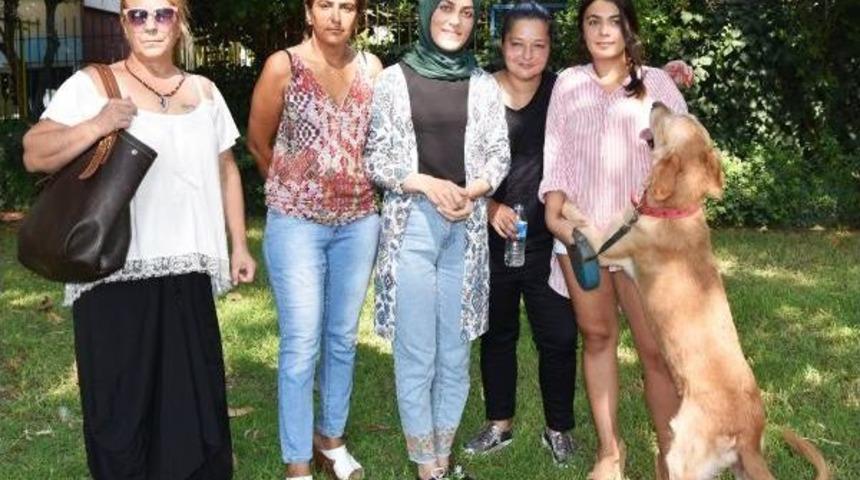 Yavru Kedi, Derisi Y&uuml;z&uuml;l&uuml;p &Ouml;l&uuml;me Terk Edildi (2)
