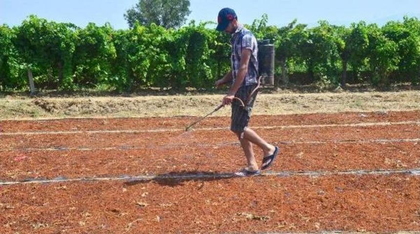 &Uuml;retici &Uuml;z&uuml;me Sergide De Sigorta Istiyor