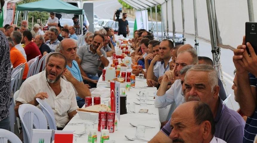 Fındıkta Verimi Arttırmak İ&ccedil;in Toplandılar