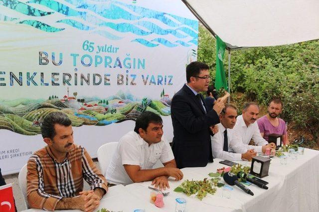 Fındıkta Verimi Arttırmak İçin Toplandılar