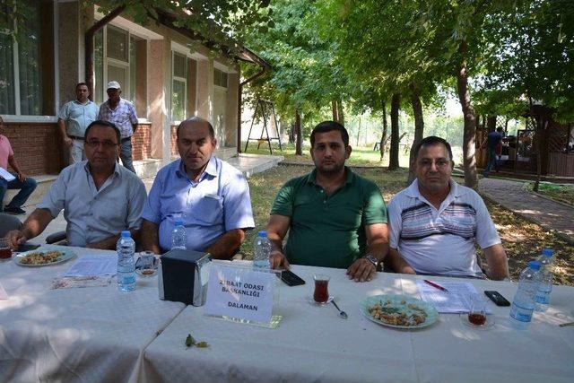 Dalaman’da Limon İhalesi