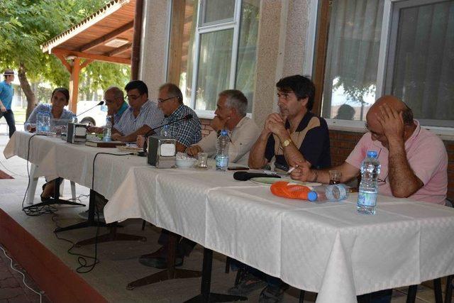 Dalaman’da Limon İhalesi