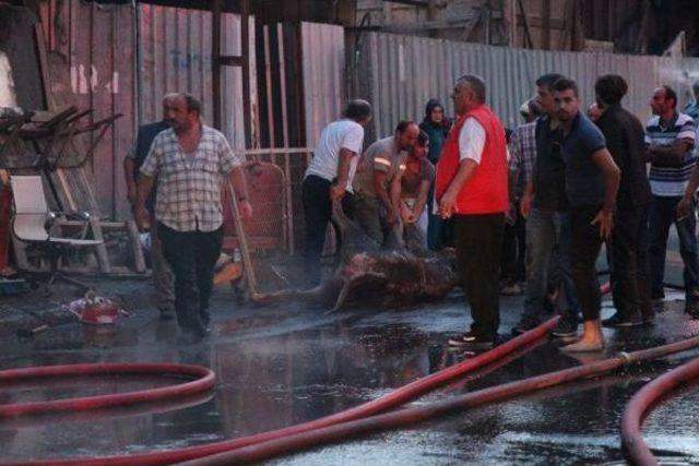 Sarıyer'de Kurbanlık Hayvanların Bulunduğu Barınakta Yangın