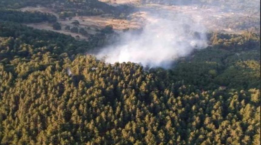 Edremit&rsquo;Te Orman Yangını