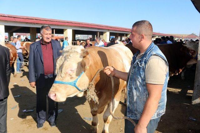 Hayvan Pazarında Alıcı Da Satıcı Da Memnun Değil