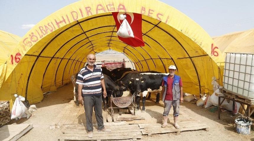 G&ouml;lbaşı Belediyesi Kurban Bayramı&rsquo;na Hazır