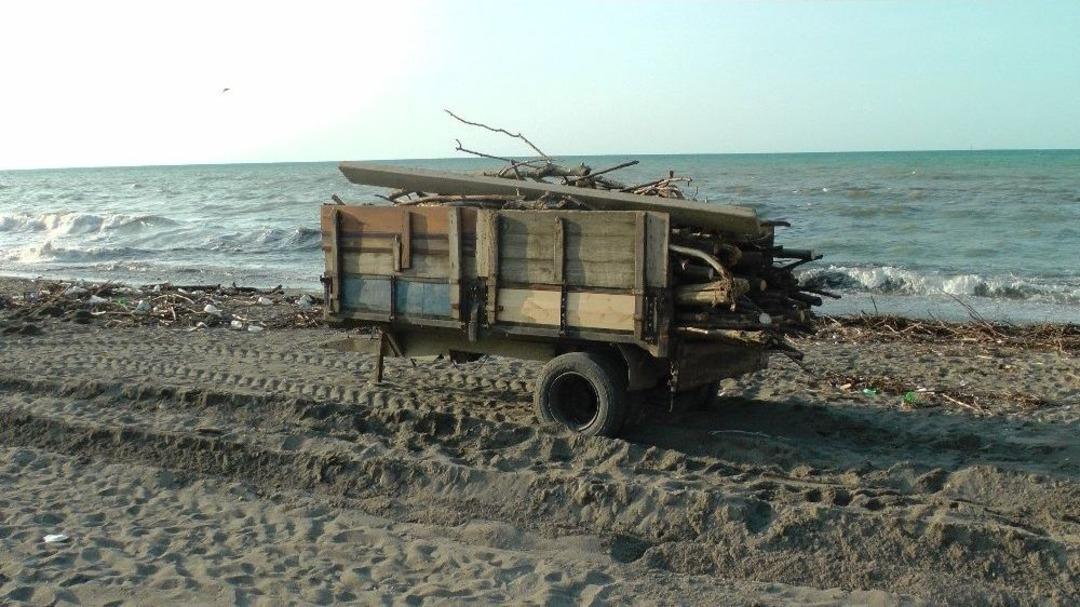 (&ouml;zel Haber) Kışlık Odunlar Kumsaldan