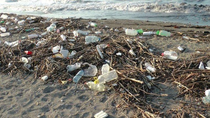 (özel Haber) Kışlık Odunlar Kumsaldan G2