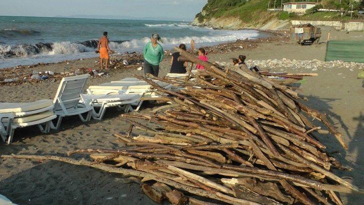 (özel Haber) Kışlık Odunlar Kumsaldan G4