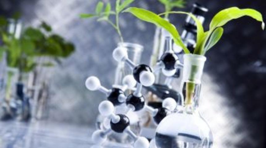 &ldquo;bitkisel Ekstraktlar Yaşam Kalitesini Y&uuml;kseltmeye Yardımcı Oluyor&rdquo;