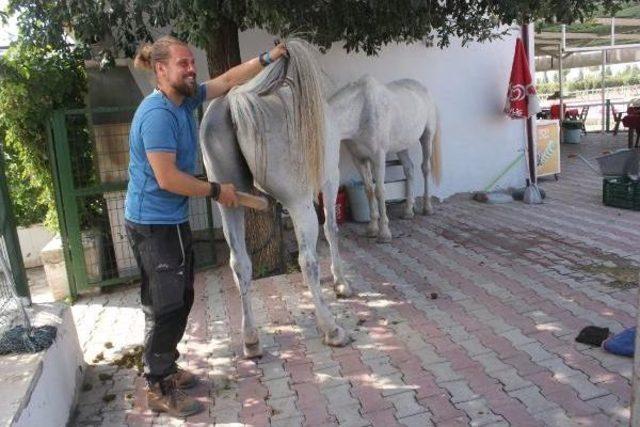 Kudüs'e At Sırtında Hac Yolculuğu