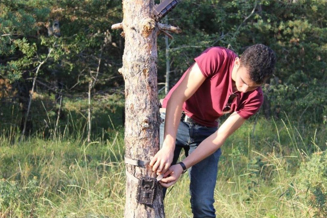 (&ouml;zel Haber) Başkent&rsquo;in Yanı Başındaki Vahşi Hayat Foto Kapanında